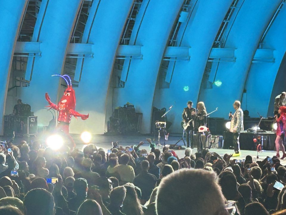Selfie of Maggie in large white sunglasses at the Blue Note Jazz Festival at the Hollywood Bowl in Los Angeles, CA on June 15, 2025.